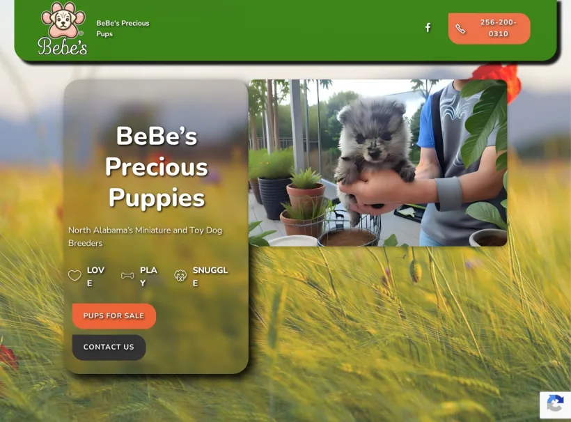 BeBe's Precisou Puppies custom website